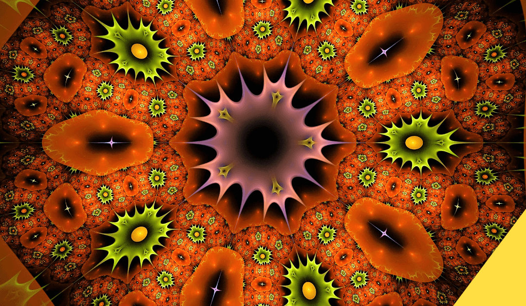 Kaleidoszkóp – Hincz családi nap