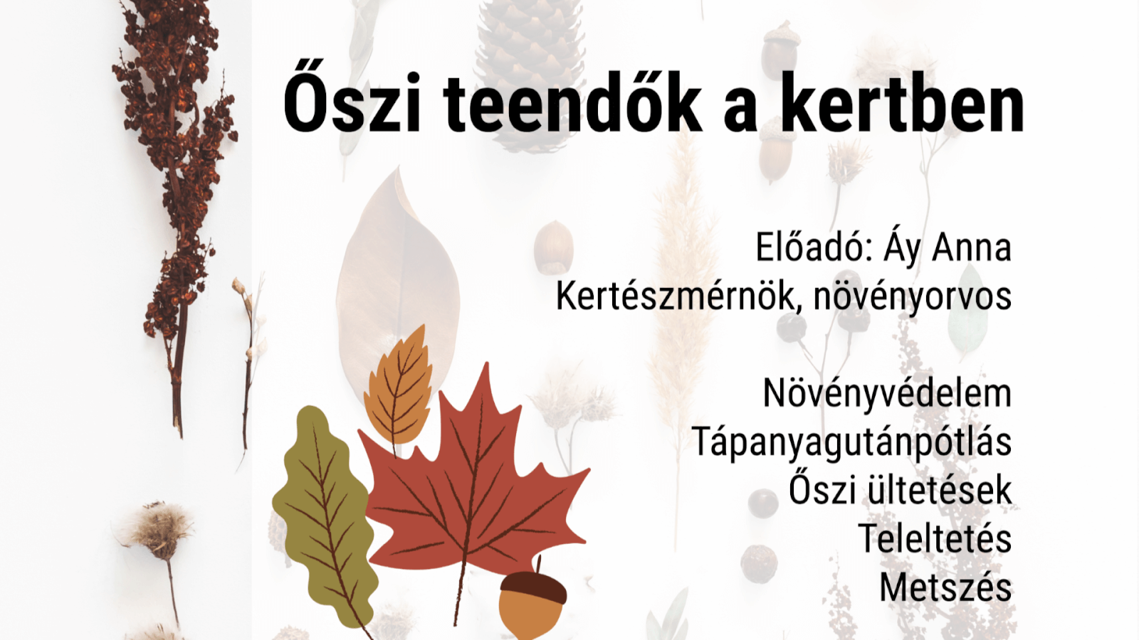 Őszi teendők a kertben