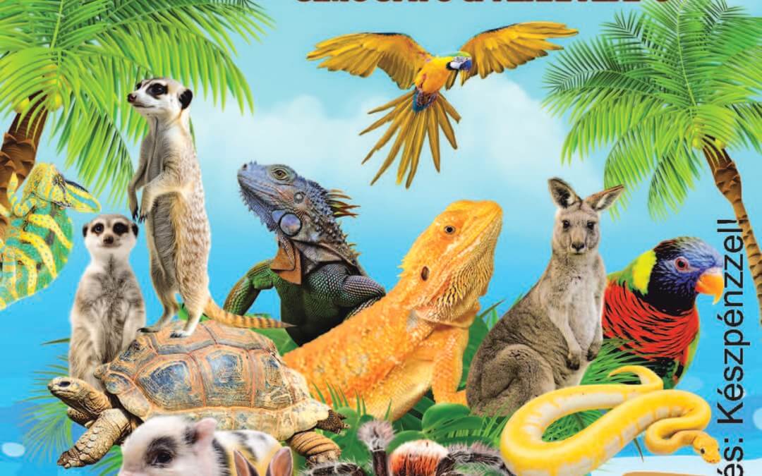 Elmarad-Madagascar KISÁLLAT KIÁLLÍTÁS Érden