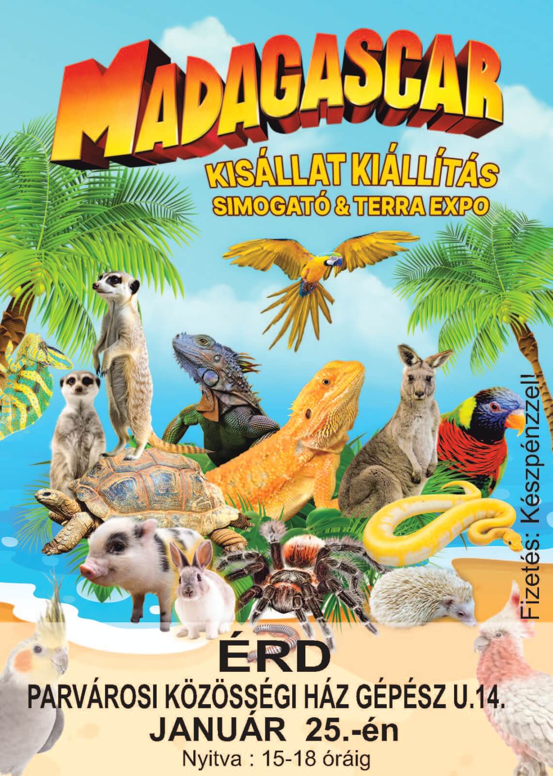 Madagascar KISÁLLAT KIÁLLÍTÁS Érden
