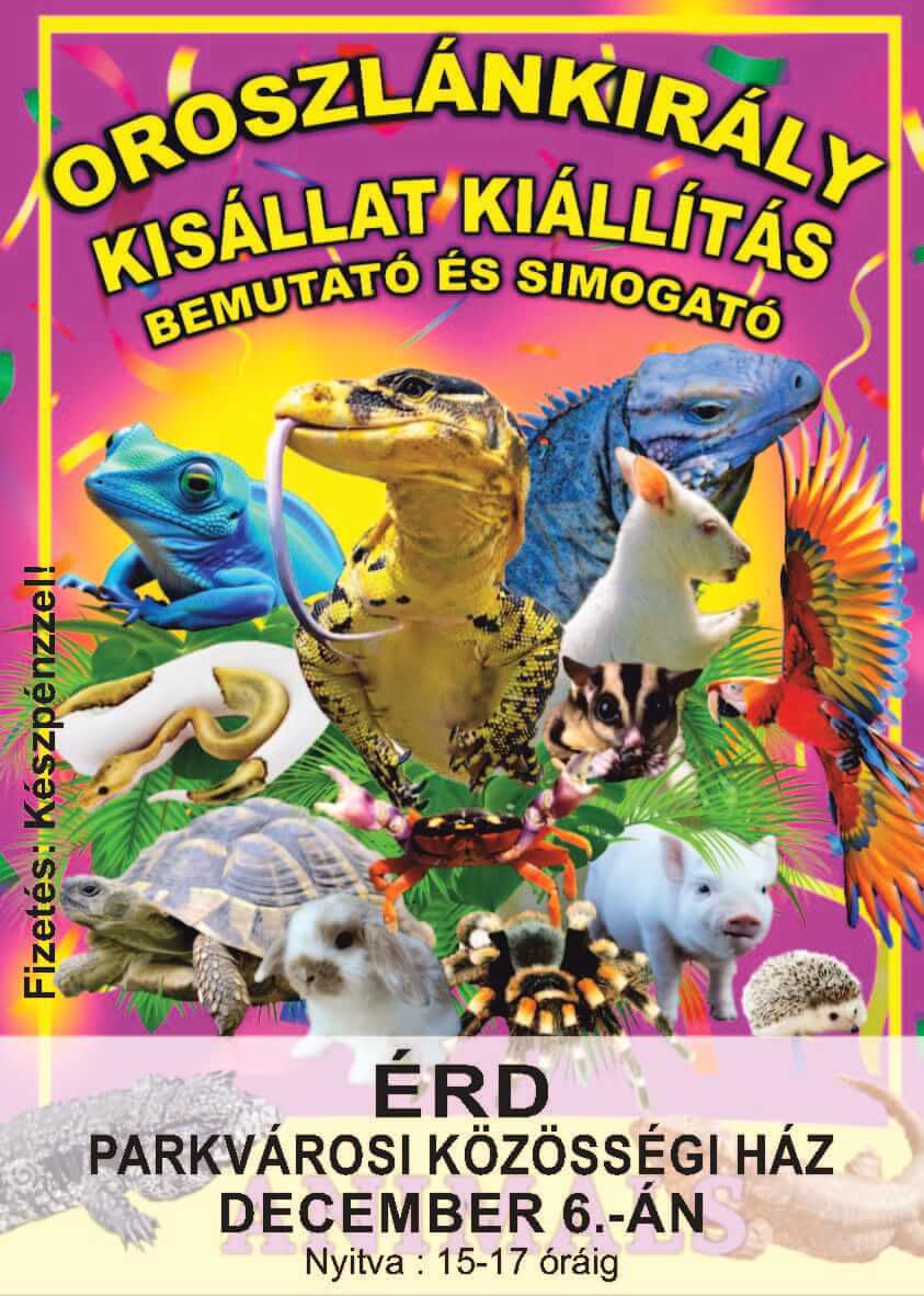 kisállat kiállítás-bemutató és simogató Érden