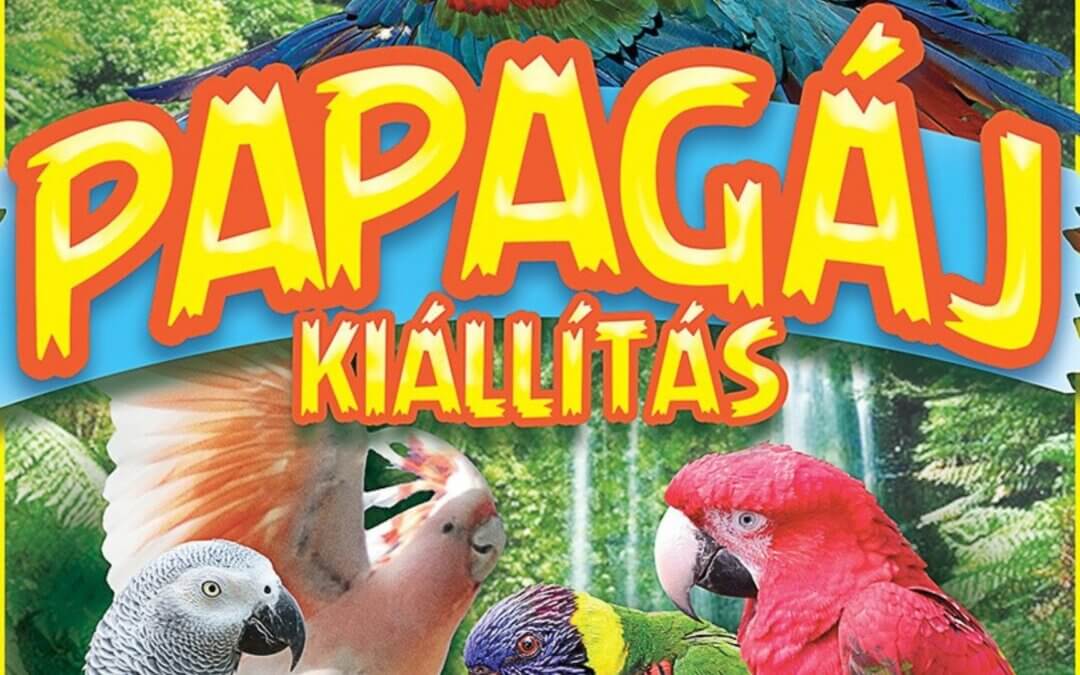 Papagáj kiállítás