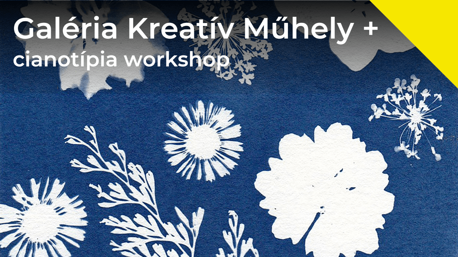 Galéria kreatív műhely cianotípia workshop