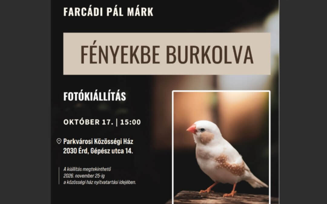 Kiállításmegnyitó – Fényekbe burkolva