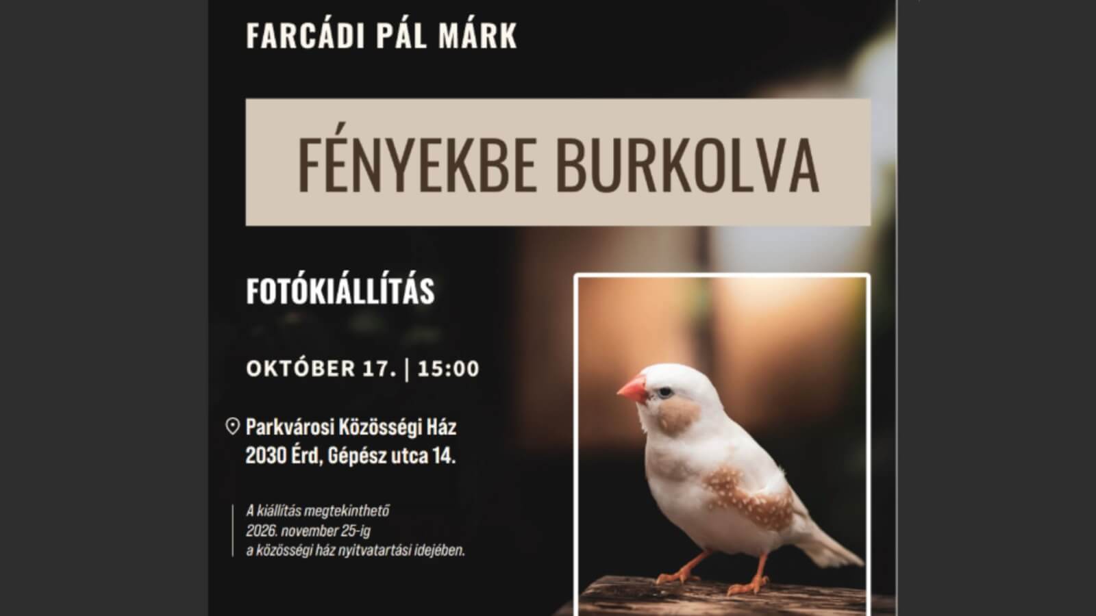 Fényekbe burkolva című fotókiállítás